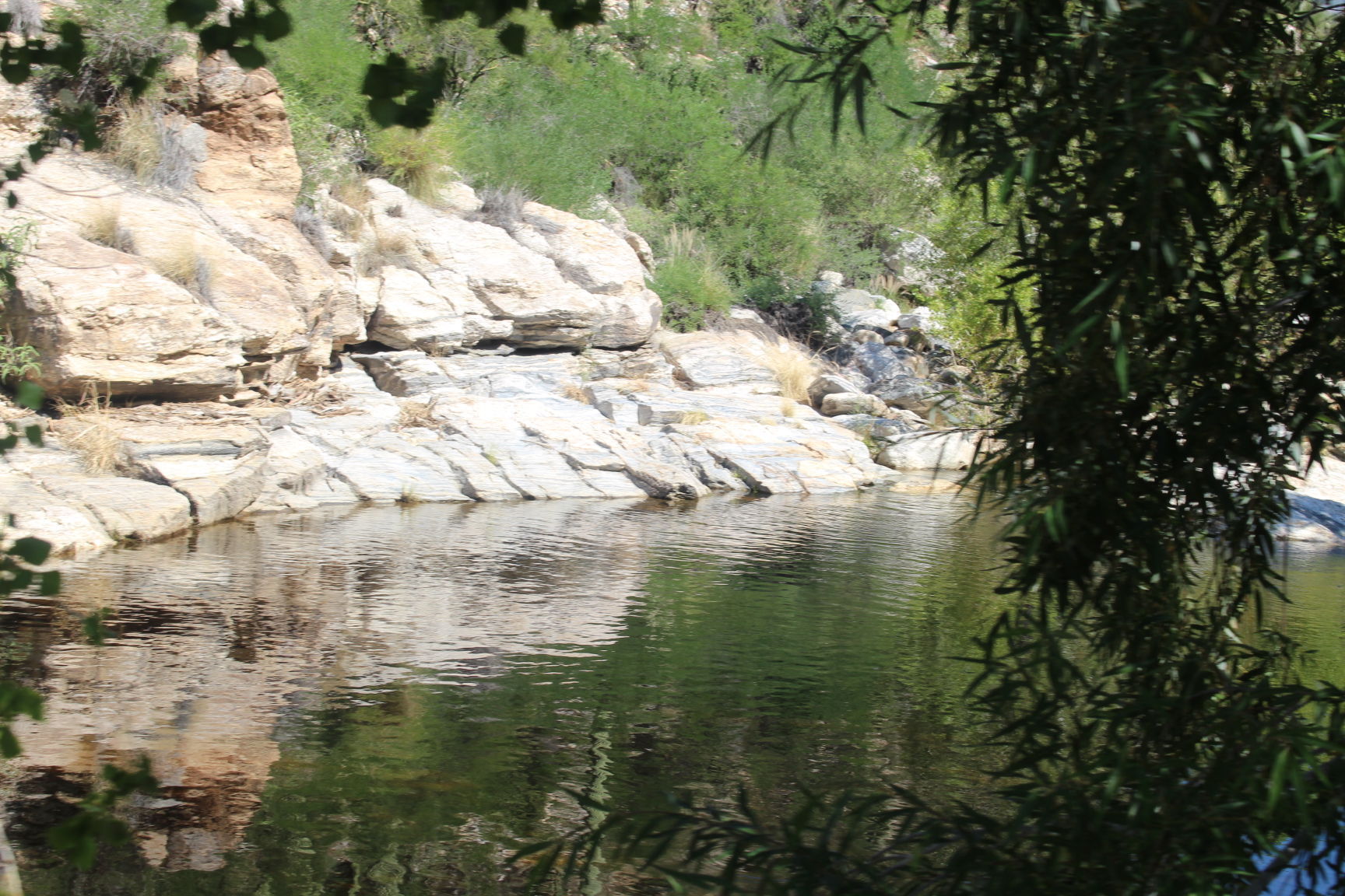 Sabino Canyon